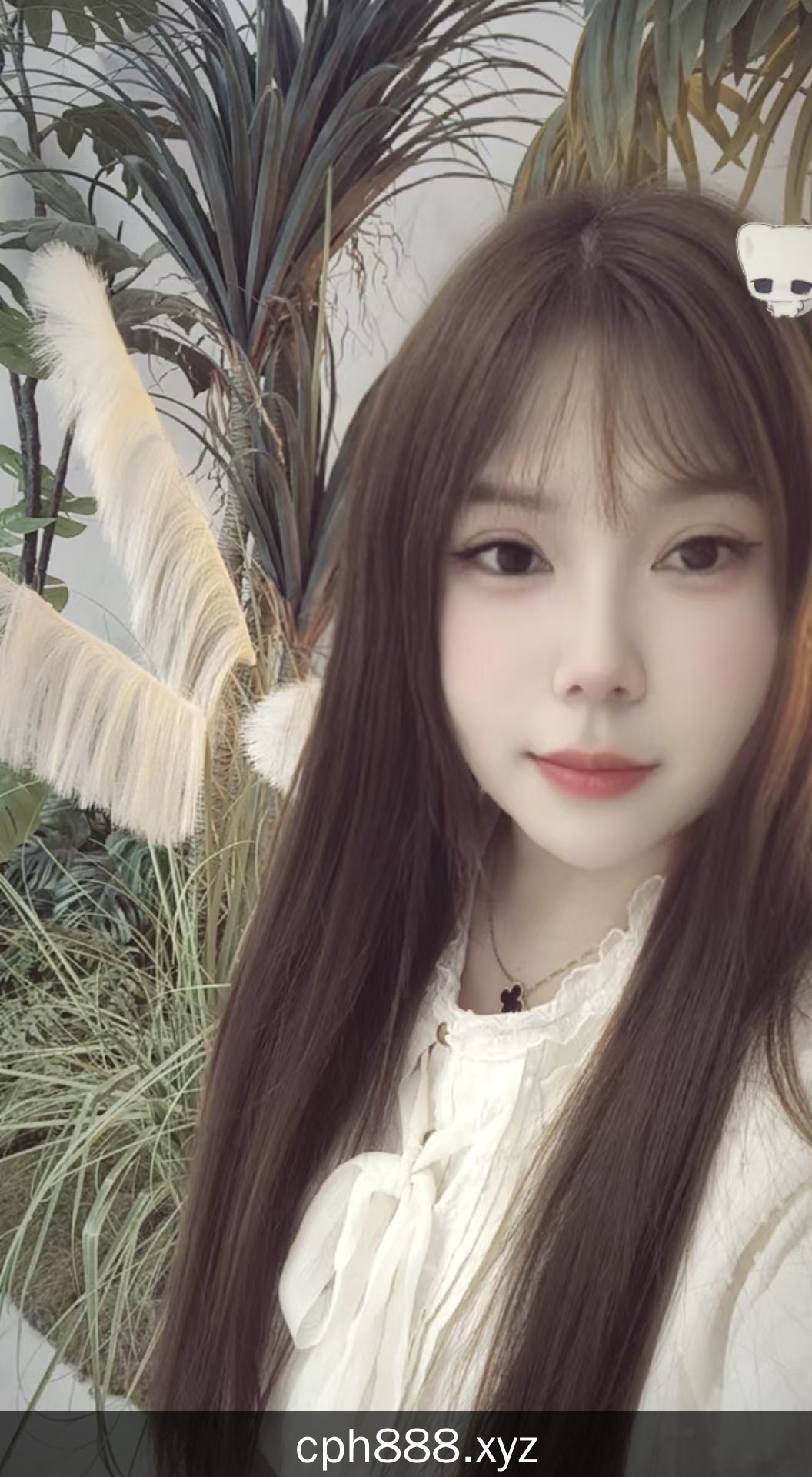 精彩照片