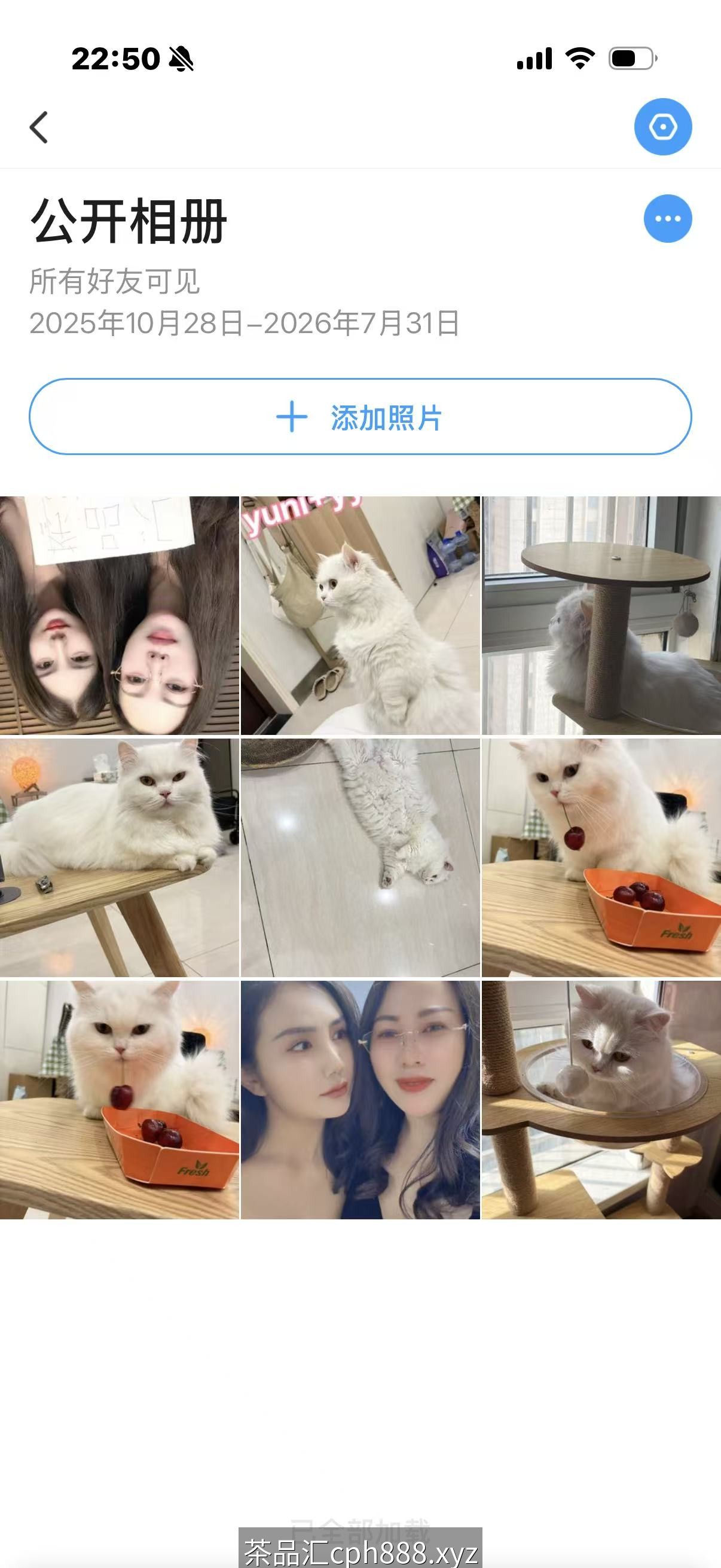 精彩照片